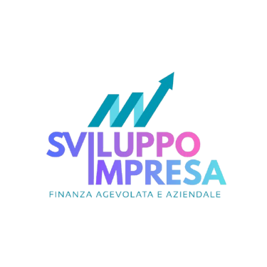 Consulenza Sviluppo Impresa logo