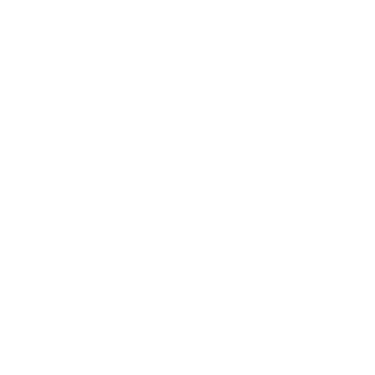 الشحن و التخليص الجمركي | Alshoulah logo