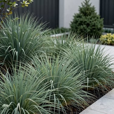 A close-up photograph of a contemporary landscape design featuring Sage Green ornamental grasses and structural shrubs in a modern North American / US residential garden.