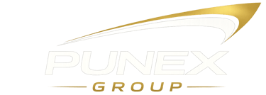PUNEX GROUP logo
