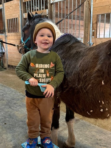 A smiling young boy in a beanie holding a grooming brush next to a large brown horse in a stable.