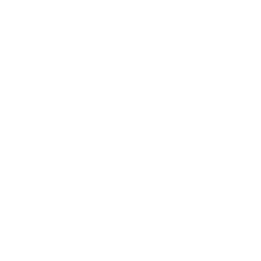 The Wellness Shift logo