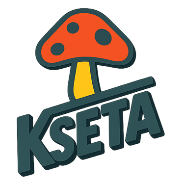 La Kseta logo