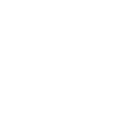 Shahids Technology logo
