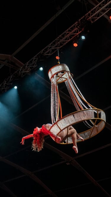 chandelier acrobatico con servizio Welcome drink 