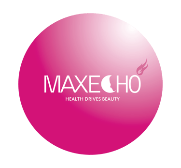 Maxecho logo