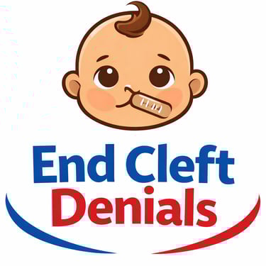 End Cleft Denials NY - Ray's Law logo