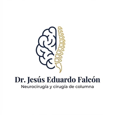 NeuroSpine Care logo