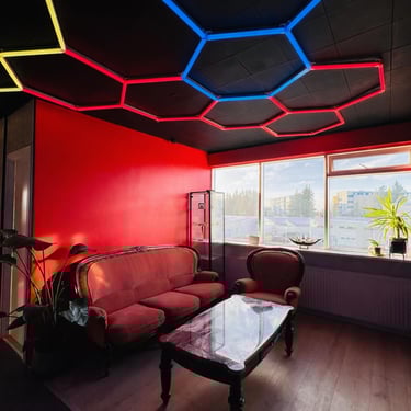 Reykjavik Fight Club