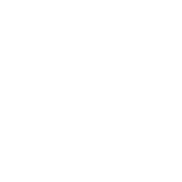 Veliz Studio logo
