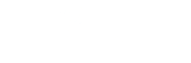 StartWise Agency logo