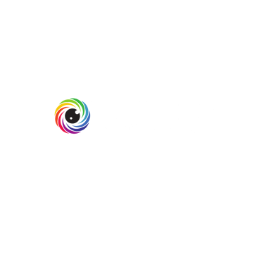 ProVision Solutions Group logo