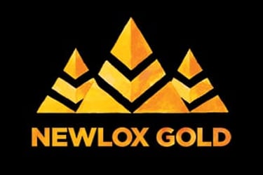 Newlox or something different soon logo