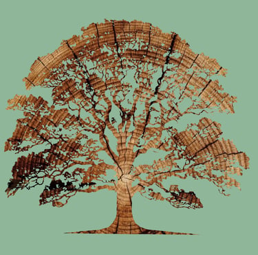 Menuiserie Moreau Luberon logo