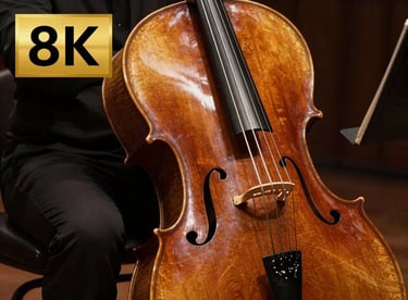 A large orchestral cello in deep walnut tones, emphasizing the curvature of the wood and the craftsmanship of the f-holes.