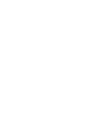 BlueWave Digital logo