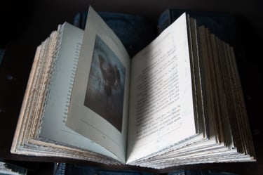 Mindaugo Juodžio tapybos darbas „Sapnas“, 2021  