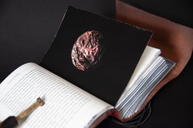 Iliustracija – knyga-objektas „Aistra“.