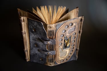 Jurgita Jasponytė „ Zaraso susiuvimas“ 