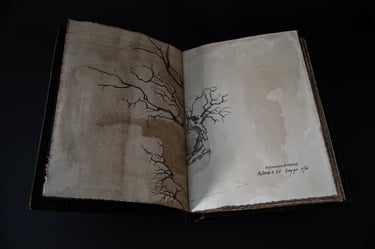 Iliustracijos – originalai,  atliktos mišria technika.