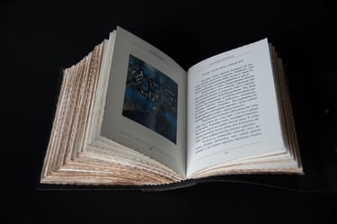 Iliustracija –  Mindaugas Juodis „Nuolankumas“, 2021 