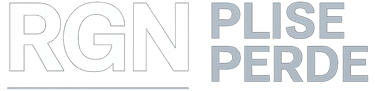 RGN PLİSE PERDE logo