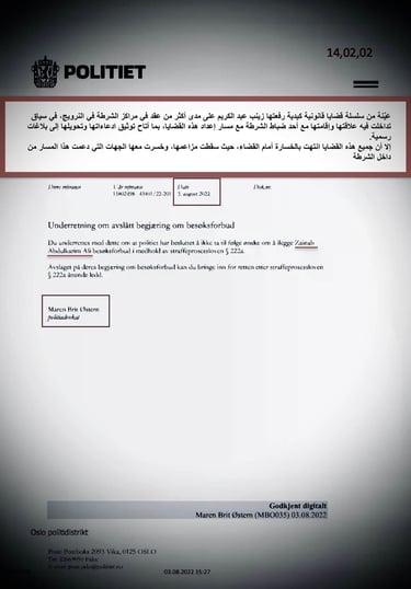  Zainab Abdulkarim Ali, Art ، زينب عبد الكريم، الفن التشكيلي العراقي، العراق، النرويج، اوسلو،  وثائق دعاوي كيدية