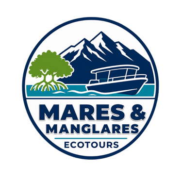 Mares & Manglares logo