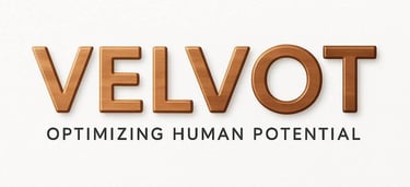 velvot world logo