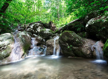 sentiero spirito del bosco, prim'alpe, gajum
