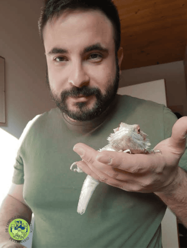Dr Giovanbattista Campolo veterinario per animali esotici con una pogona