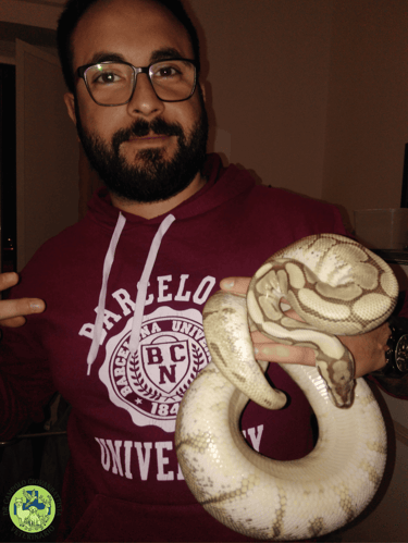 Dr Giovanbattista Campolo veterinario per animali esotici con un pitone reale in mano