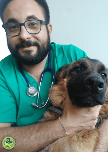 Dr Giovanbattista Campolo veterinario mentre abbraccia un cane pastore tedesco