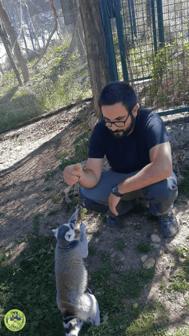 Dr Giovanbattista Campolo veterinario per animali da zoo e da parco mentre visita un lemure in una struttura zoologica