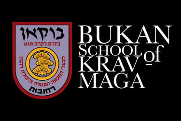 KRAV MAGA PORTO ALEGRE  logo