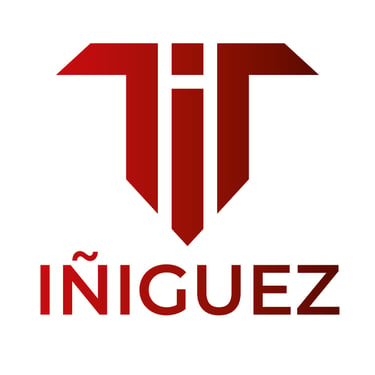 ViñaRaíz logo