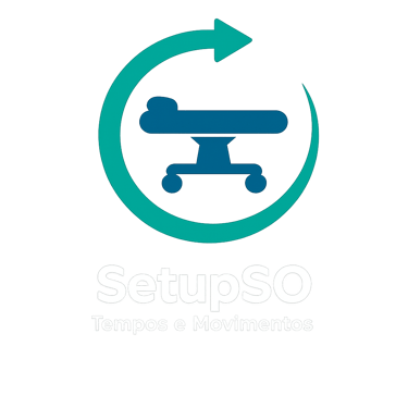 SetupSO logo