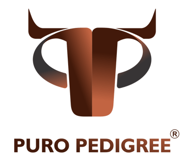 PURO PEDIGREE logo