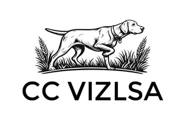 Corpus Christi Vizsla logo