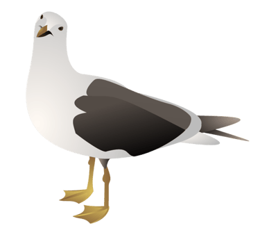 Seagull Splendor Beachfront Properties logo