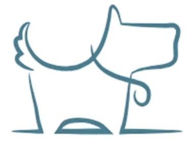 Shear Perfection logo