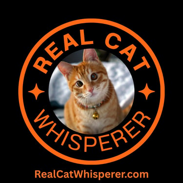 CelestiPaws logo