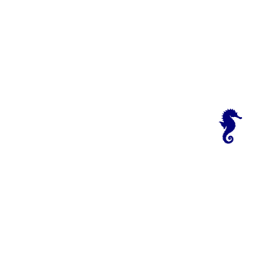 PiksEvento logo