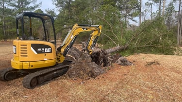 Excavation equipment clearing land in Holly Ridge NC