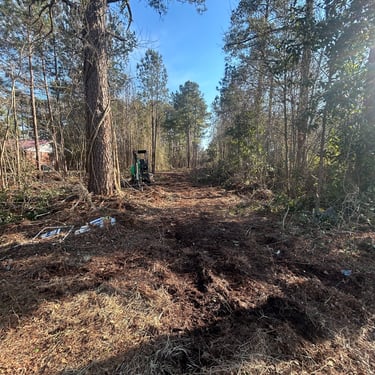 Land clearing before and after – D-Low's Excavation