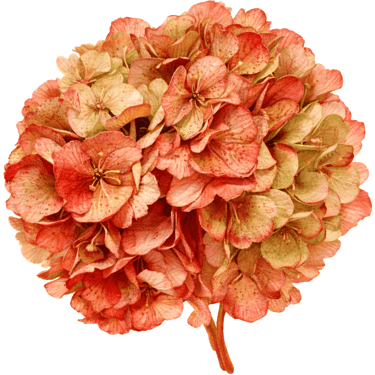 Giulia & Daniel logo