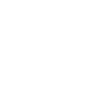 Dominik Neth logo