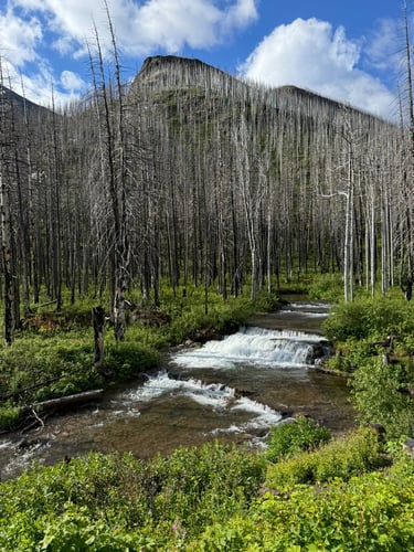 Cameron Creek, Waterton Falls