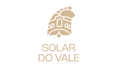 ValeVenezza logo