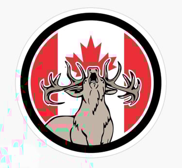 Privateteacher.ca logo